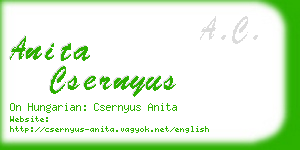 anita csernyus business card